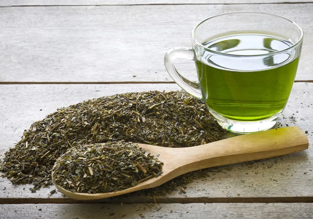 Japanese Green Tea Extract